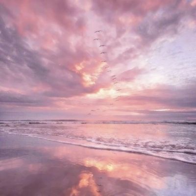 4949澳门免费资料大全下载手机版截图