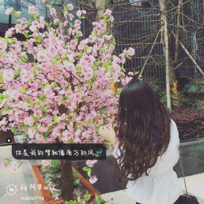 4949澳门免费资料大全下载手机版截图