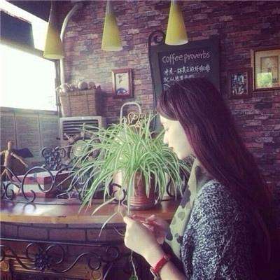 4949澳门免费资料大全下载手机版